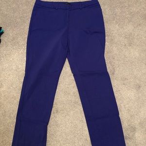 Size 8 bright colbalt blue crop pant Worthington